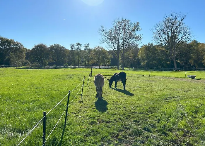 Domaine De L\'Atree - Gite La Petite Longere Dans La Nature Preservee