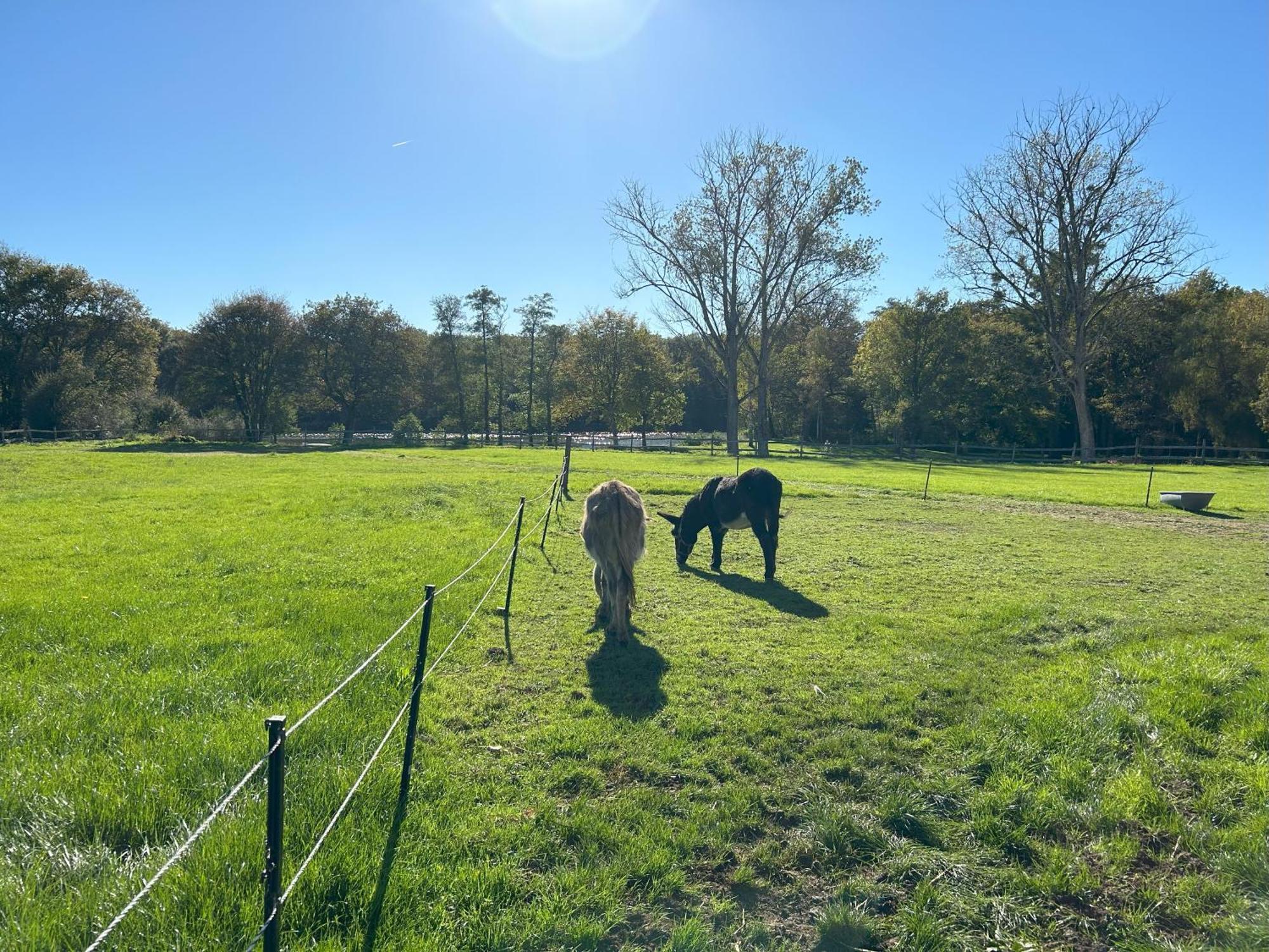 Domaine De L'atree - La Petite Longere Dans La Nature Preservee *