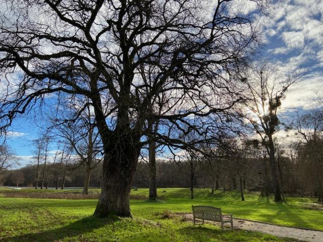 Domaine De L'atree - La Petite Longere Dans La Nature Preservee Saint-Martin-des-Champs (Yonne)