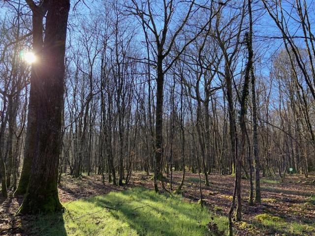 Domaine De L'atree - La Petite Longere Dans La Nature Preservee Holiday home *