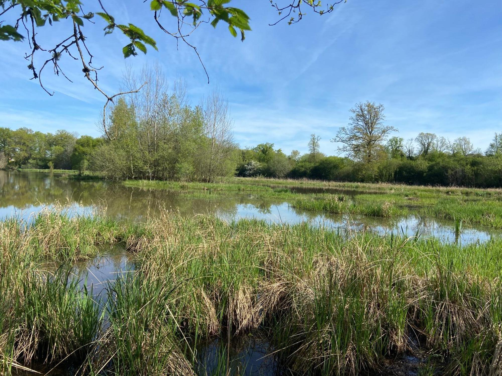 Domaine De L'atree - La Petite Longere Dans La Nature Preservee Holiday home *