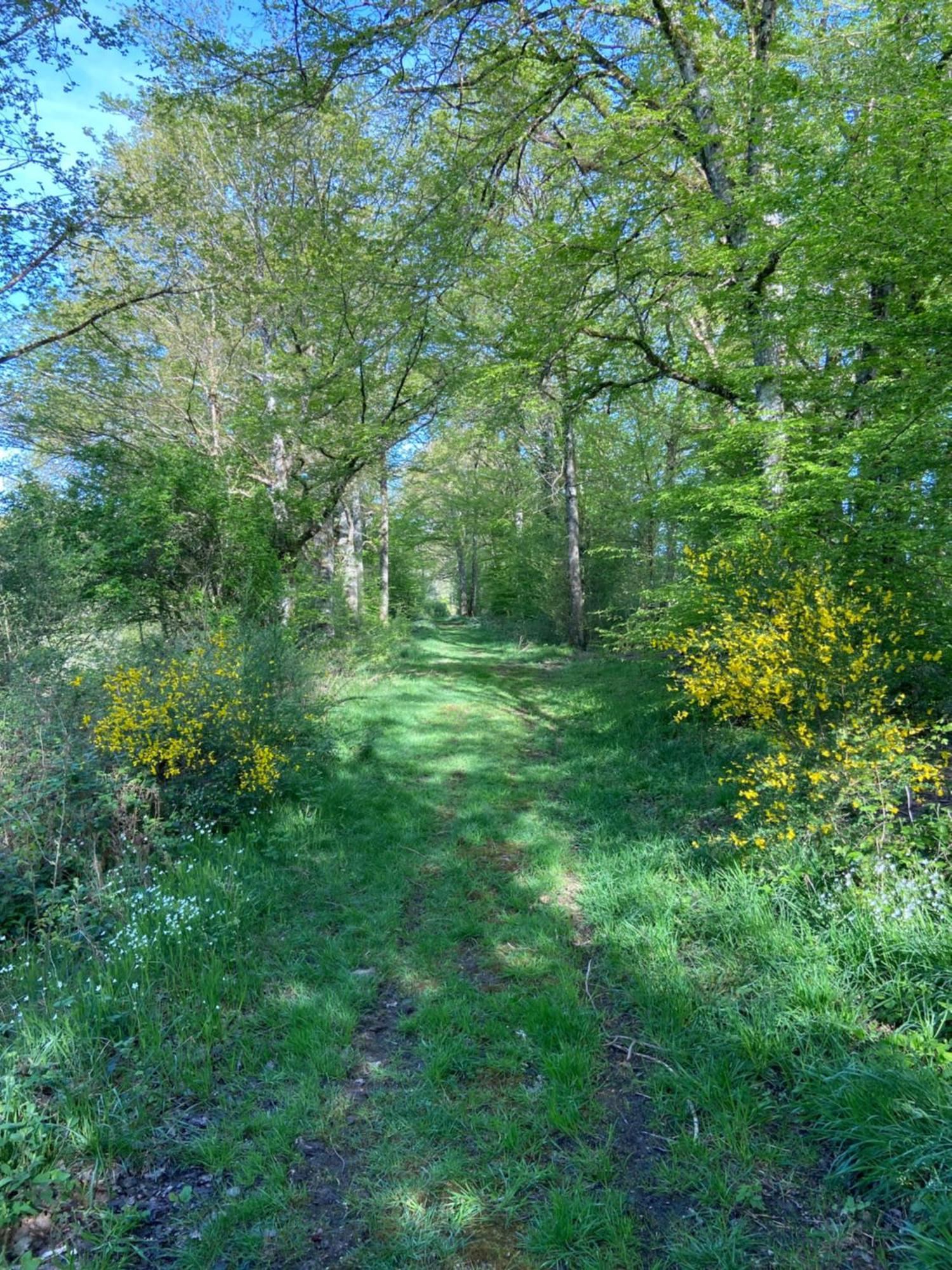 Domaine De L'atree - La Petite Longere Dans La Nature Preservee Saint-Martin-des-Champs (Yonne)