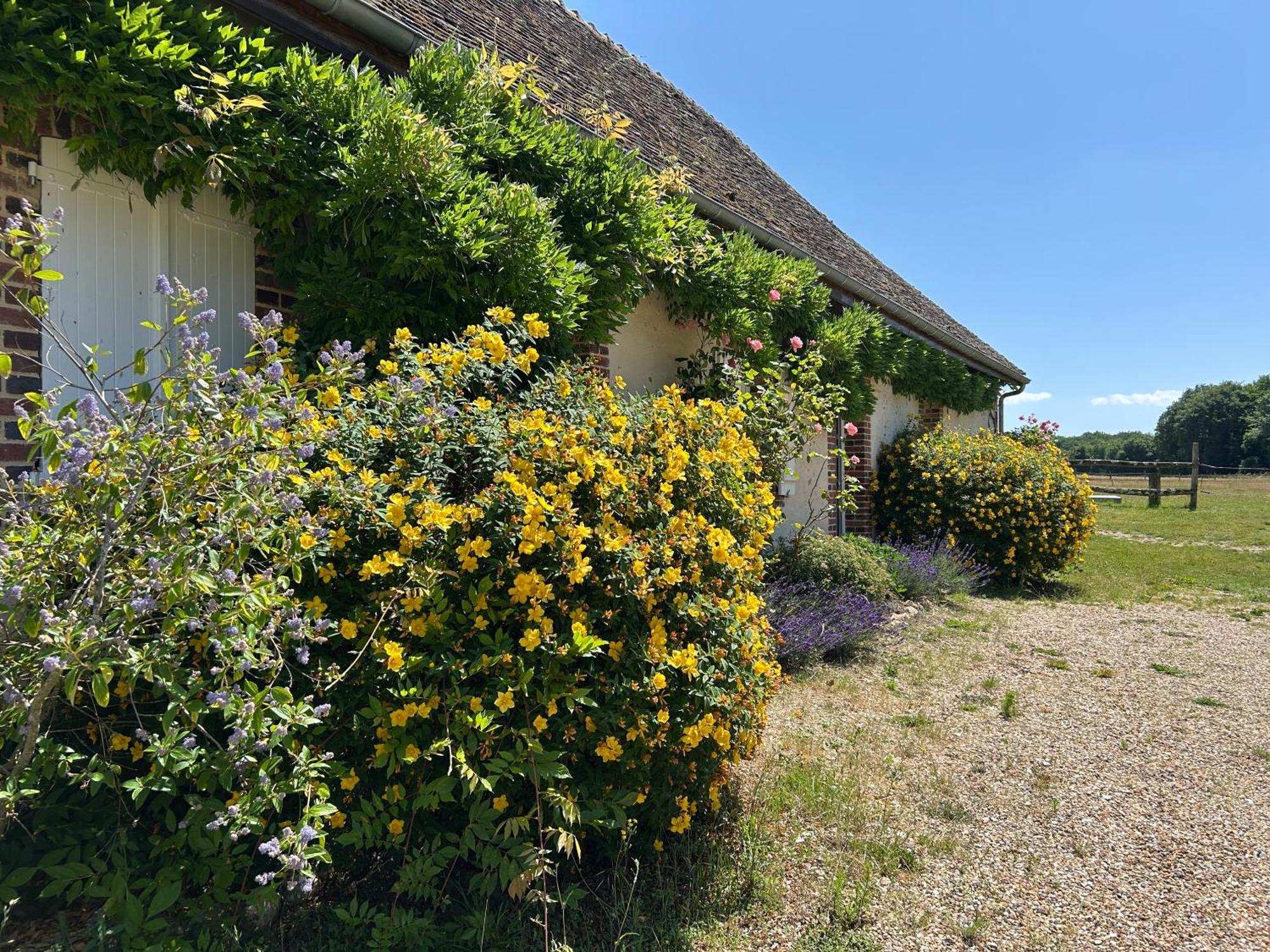 Domaine De L'atree - La Petite Longere Dans La Nature Preservee Holiday home Saint-Martin-des-Champs (Yonne)